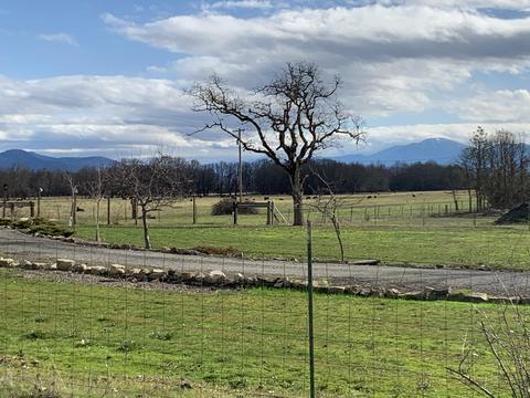 11759 Dixie Rd, Central Point, OR 97502 photo 53