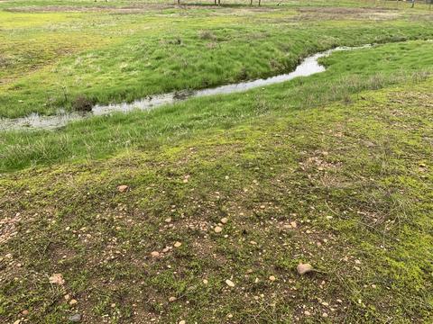 11759 Dixie Rd, Central Point, OR 97502 photo 45