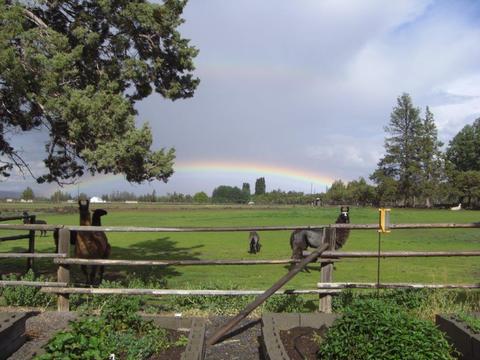 22222 Erickson Rd, Bend, OR 97701 photo 69