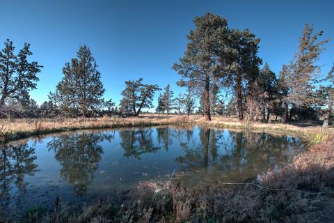 22222 Erickson Rd, Bend, OR 97701 photo 94