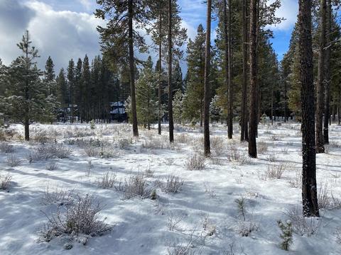 56347 Fireglass Loop, Bend, OR 97707 photo 17