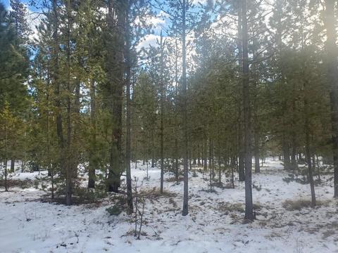 16625 Wagon Trl, Bend, OR 97707 photo 2