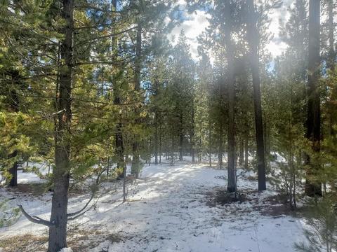 16625 Wagon Trl, Bend, OR 97707 photo 16
