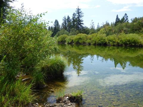 336 Burch Dr, Cave Junction, OR 97523 photo 31