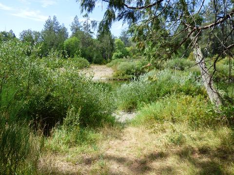 336 Burch Dr, Cave Junction, OR 97523 photo 30