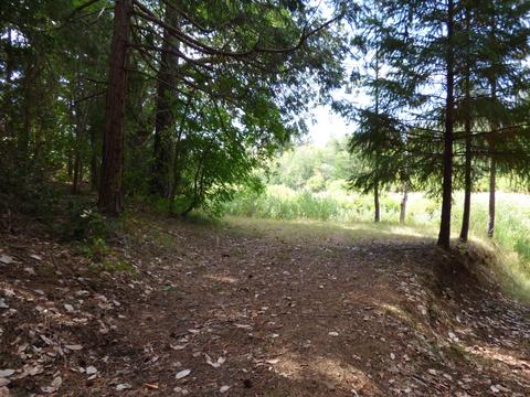 336 Burch Dr, Cave Junction, OR 97523 photo 28