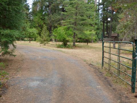 336 Burch Dr, Cave Junction, OR 97523 photo 11