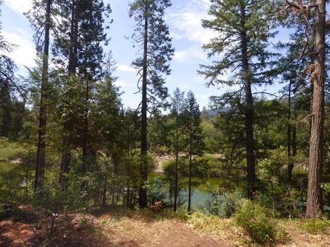336 Burch Dr, Cave Junction, OR 97523 photo 20