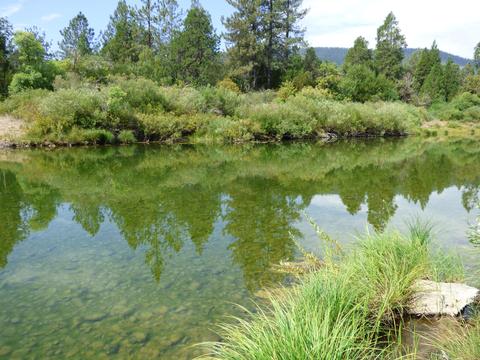 336 Burch Dr, Cave Junction, OR 97523 photo 32
