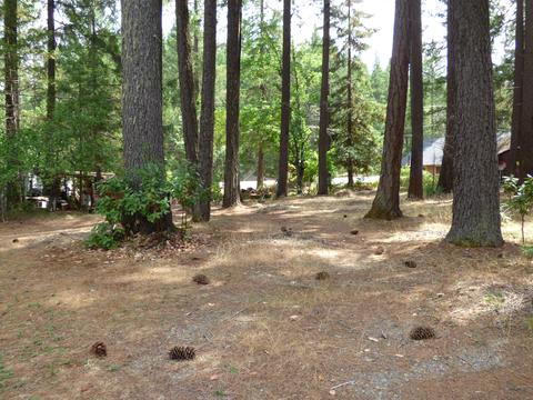 336 Burch Dr, Cave Junction, OR 97523 photo 34