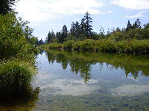 336 Burch Dr, Cave Junction, OR 97523 photo 33