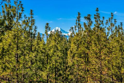 21690 Butte Ranch Rd, Bend, OR 97702 photo 38
