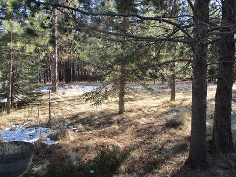 14834 Bluegrass Loop, Sisters, OR 97759 photo 5