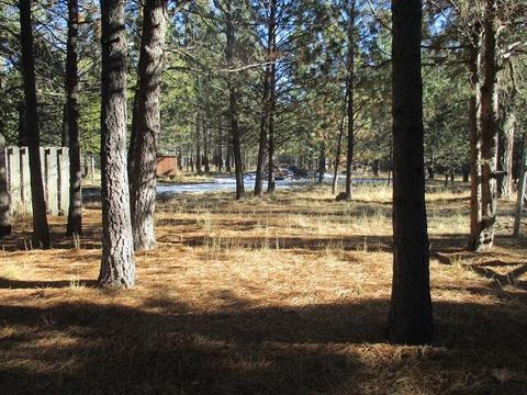 14834 Bluegrass Loop, Sisters, OR 97759 photo 16