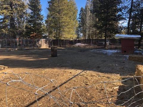 51686 Coach Rd, La Pine, OR 97739 photo 3