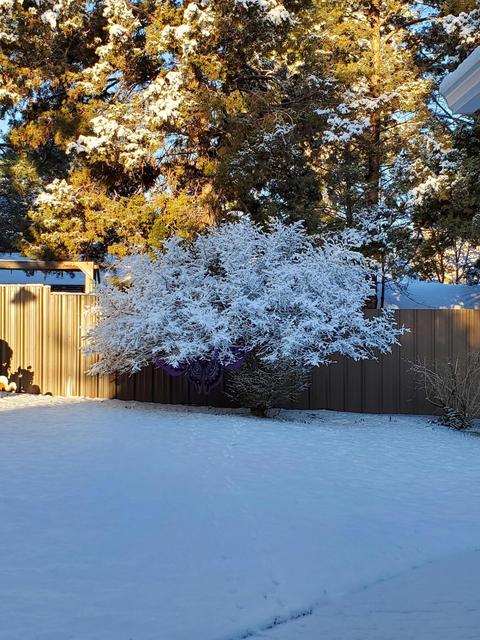 701 SE 6th St, Bend, OR 97702 photo 9