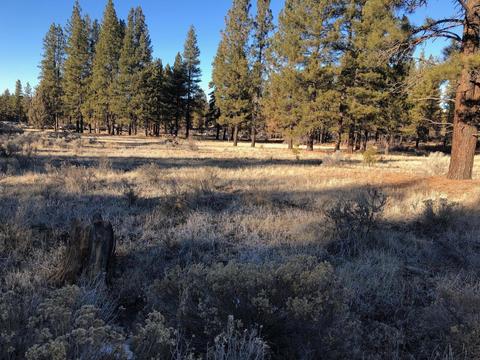 Teal Drive LOT 1300, Bonanza, OR 97623