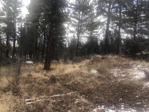 Mina Bird Drive LOT 1000, Bonanza, OR 97623