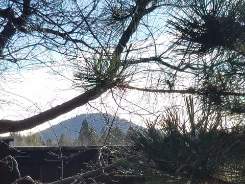 3155 NE Nathan Dr, Bend, OR 97701 photo 59