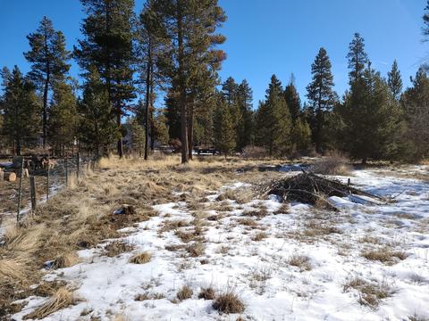52582 Doe Ln, La Pine, OR 97739 photo 3