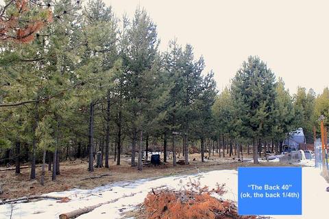 16093 Burgess Rd, La Pine, OR 97739 photo 29
