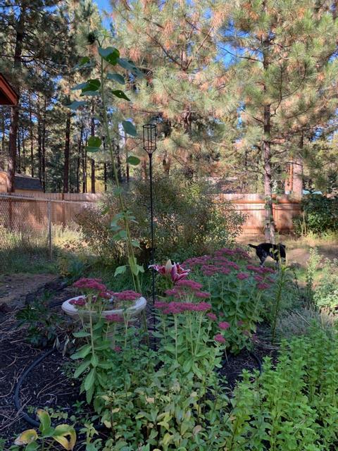 17168 Norwalk Rd, Bend, OR 97707 photo 48