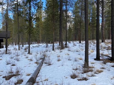 56179 Sable Rock Loop, Bend, OR 97707 photo 12