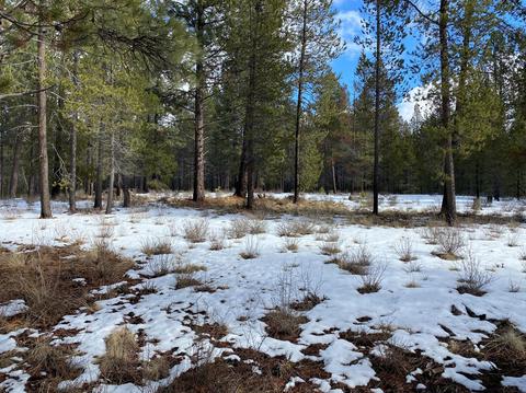 56179 Sable Rock Loop, Bend, OR 97707 photo 1