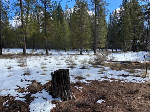 56179 Sable Rock Loop, Bend, OR 97707 photo 11