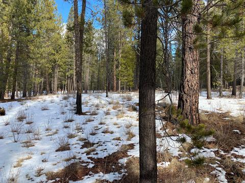 56179 Sable Rock Loop, Bend, OR 97707 photo 15