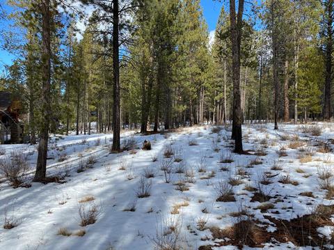 56179 Sable Rock Loop, Bend, OR 97707 photo 14