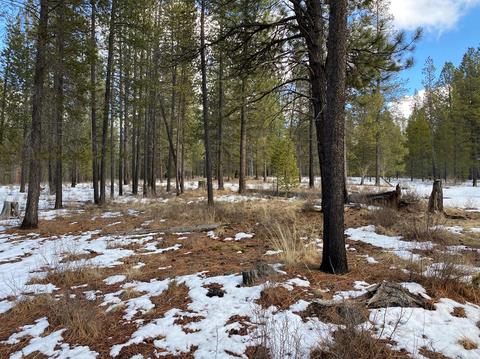 56179 Sable Rock Loop, Bend, OR 97707 photo 13