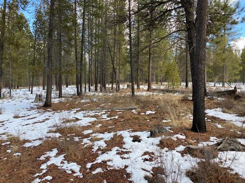 56179 Sable Rock Loop, Bend, OR 97707 photo 8