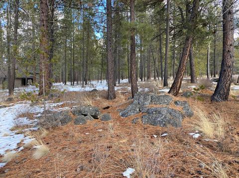 56179 Sable Rock Loop, Bend, OR 97707 photo 10