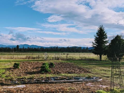 10105 Table Rock Rd, Central Point, OR 97502 photo 16