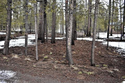53730 Pradera Pl, La Pine, OR 97739 photo 51