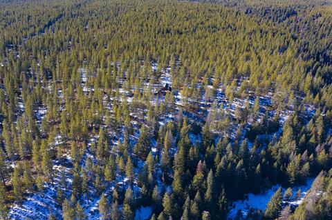 18045 Skyliners Rd, Bend, OR 97703 photo 27