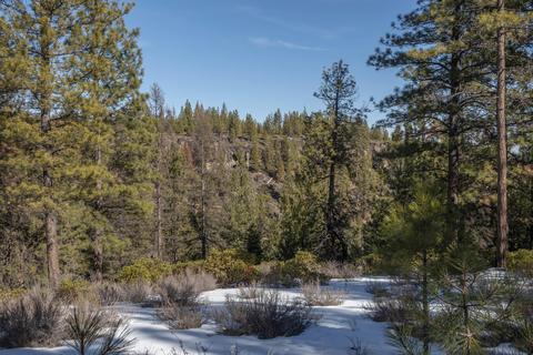 18045 Skyliners Rd, Bend, OR 97703 photo 5