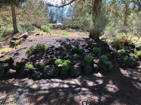 64943 Hunnell Rd, Bend, OR 97703 photo 56