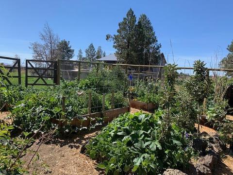 23900 Skywagon Dr, Bend, OR 97701 photo 39