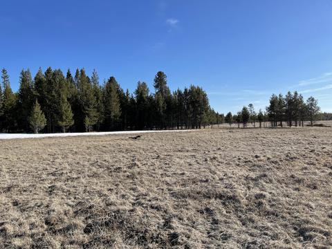 17430 Cedar Ct, Bend, OR 97707 photo 1