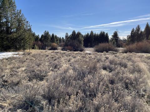53808 Bridge Dr, La Pine, OR 97739 photo 1
