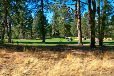 60737 Golf Village Loop, Bend, OR 97702 photo 32