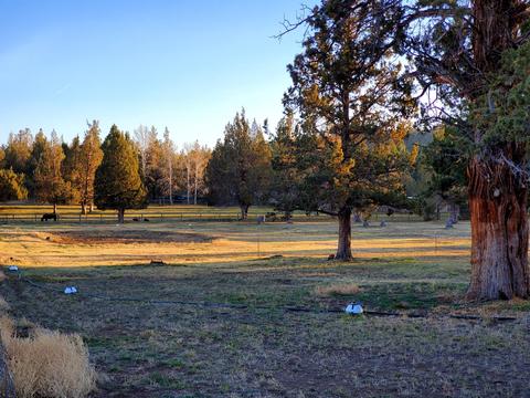 19375 Dayton Rd, Bend, OR 97703 photo 39