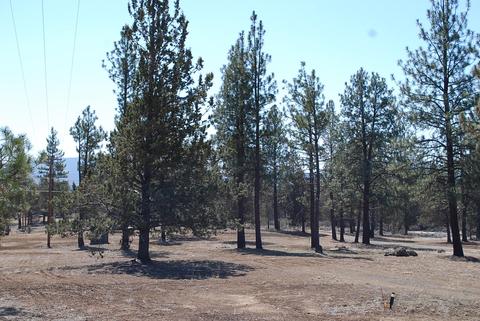 23155 Arrowhead Ln, Chiloquin, OR 97624 photo 11