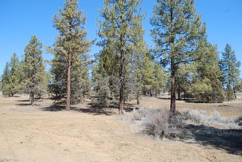 23155 Arrowhead Ln, Chiloquin, OR 97624 photo 17