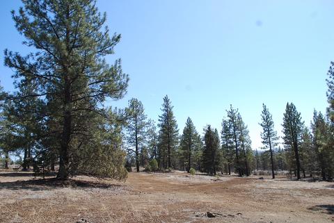 23155 Arrowhead Ln, Chiloquin, OR 97624 photo 12