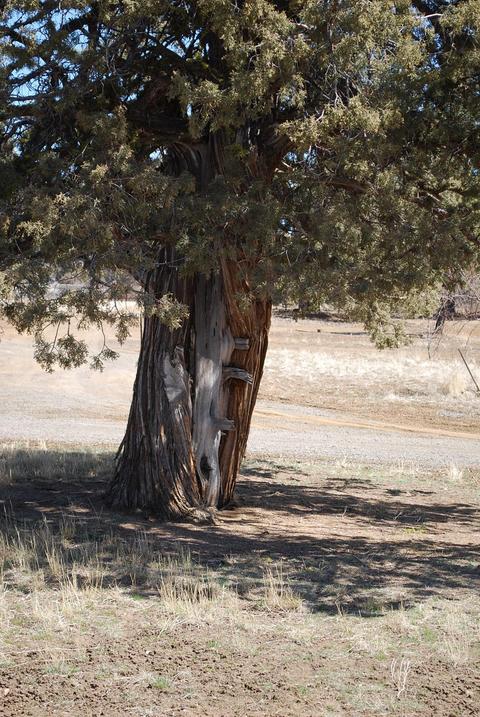 23155 Arrowhead Ln, Chiloquin, OR 97624 photo 15