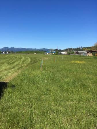 488 S Calapooia St, Sutherlin, OR 97479 photo 2