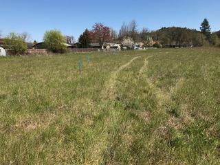 488 S Calapooia St, Sutherlin, OR 97479 photo 12
